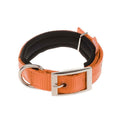 Doca Dokuma Turquoise Orange Soft Fabric Adjustable Pet Collar for Dogs and Cats