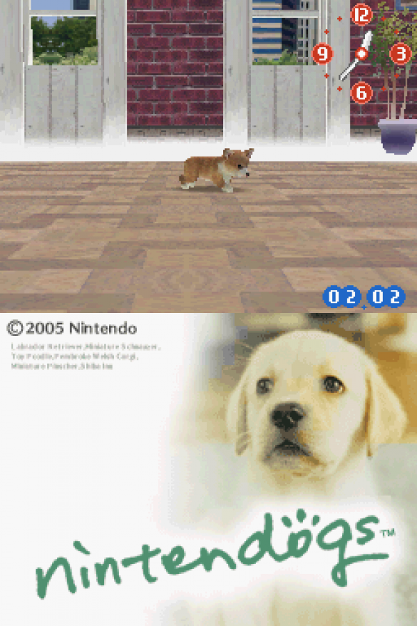 Nintendogs: Lab and Friends – Nintendo DS (DS)