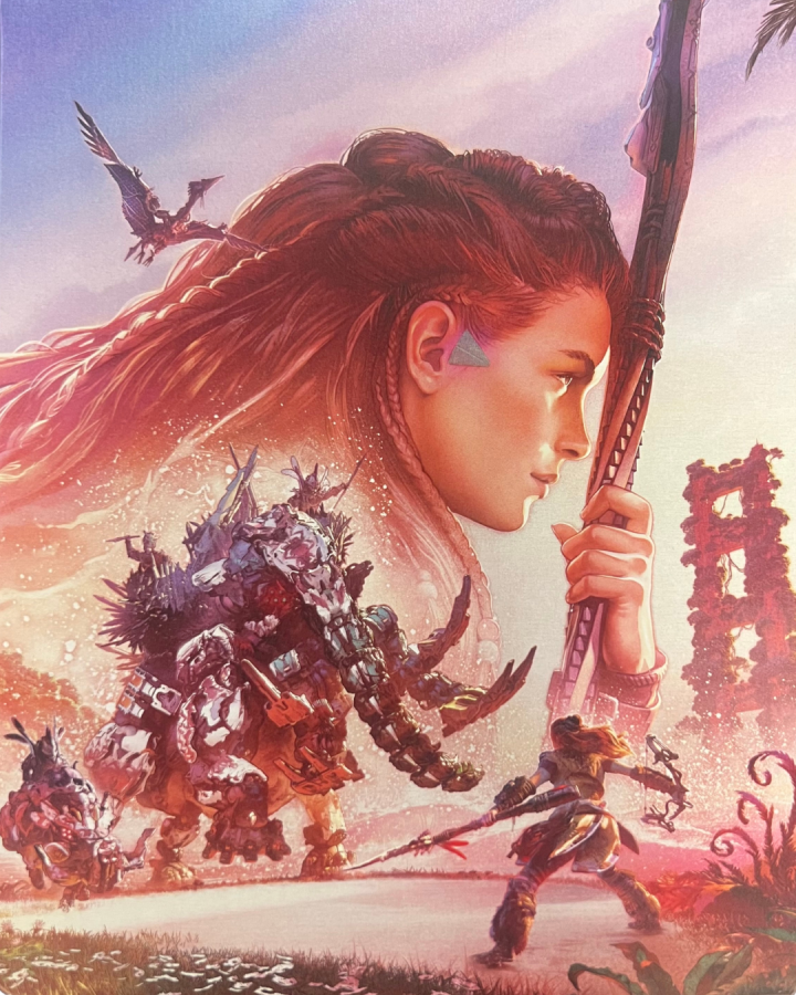 Horizon Forbidden West [Special Edition] – PlayStation 5 (PS5)