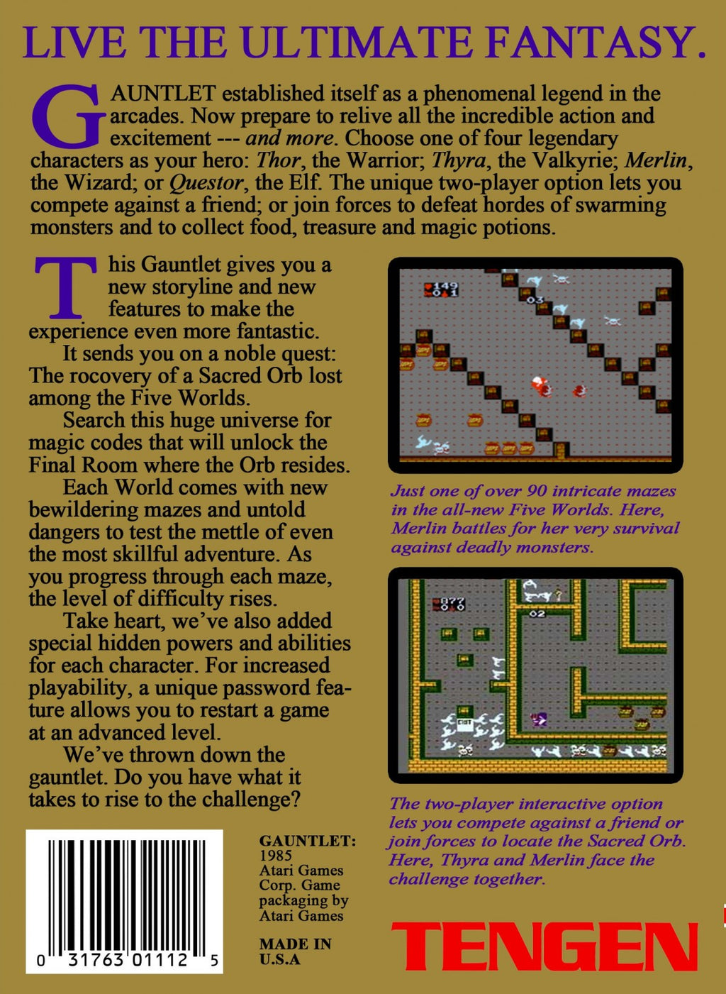 Gauntlet [Tengen] – Nintendo Entertainment System (NES)