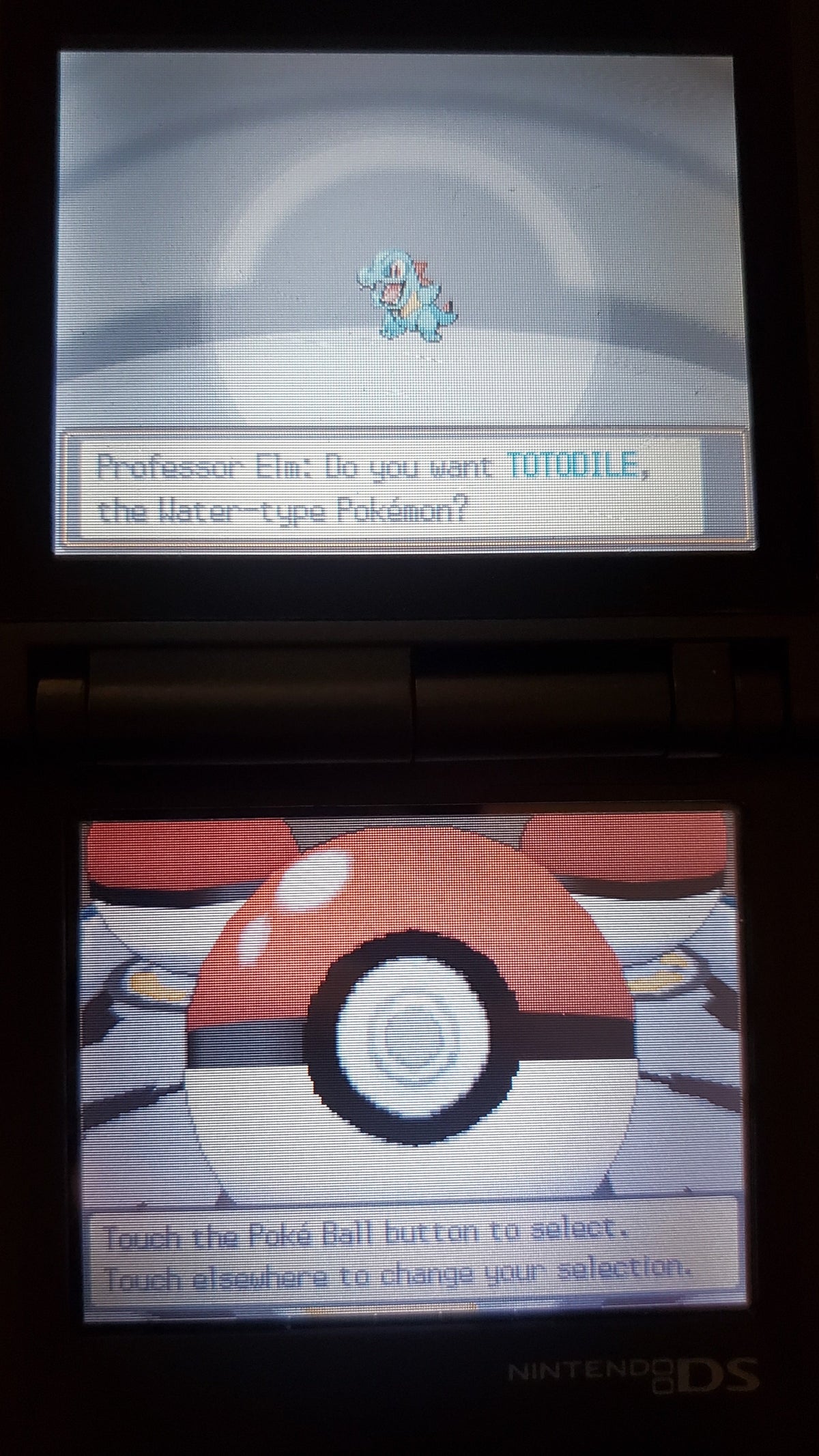 Pokemon True Soul NDS Nintendo DS Custom ROM Hack Video Game Cartridge