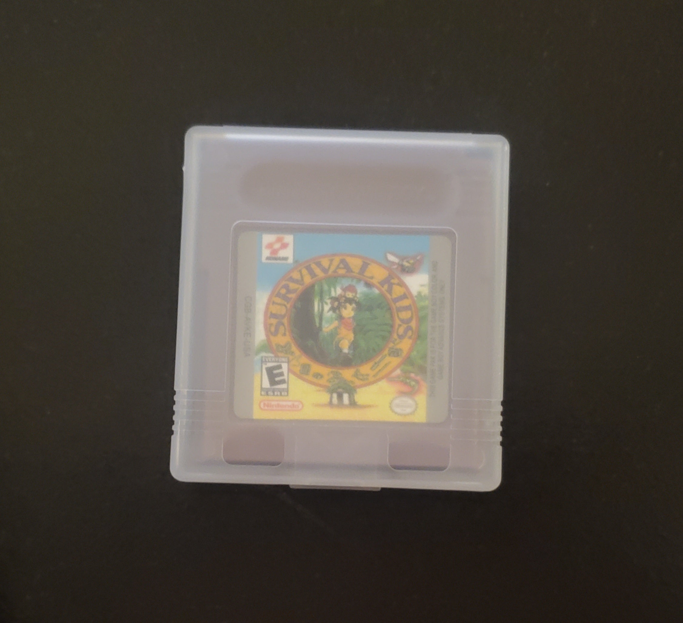 Survival Kids 1 GBC Video Game Catridge Gameboy Color 1999