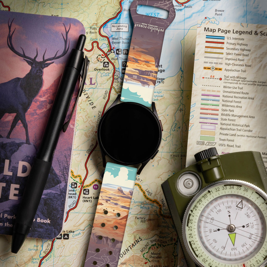 National Parks Petrified Forest HD  Watchband for Samsung, Garmin, Fossil, and More