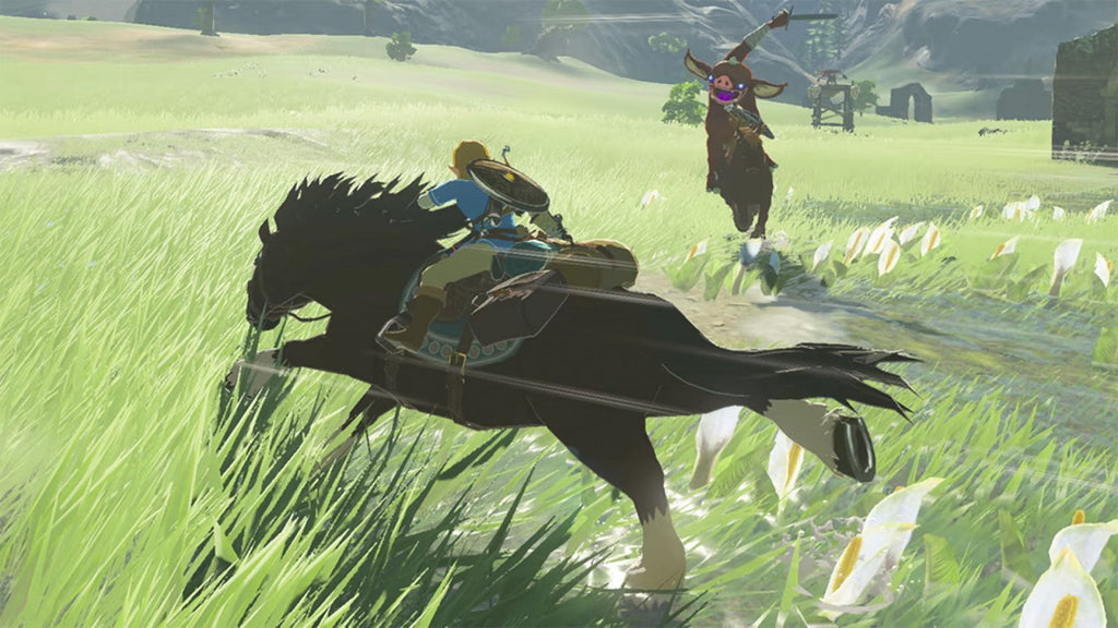 The Legend of Zelda: Breath of the Wild [Special Edition] – Nintendo Switch (NS)