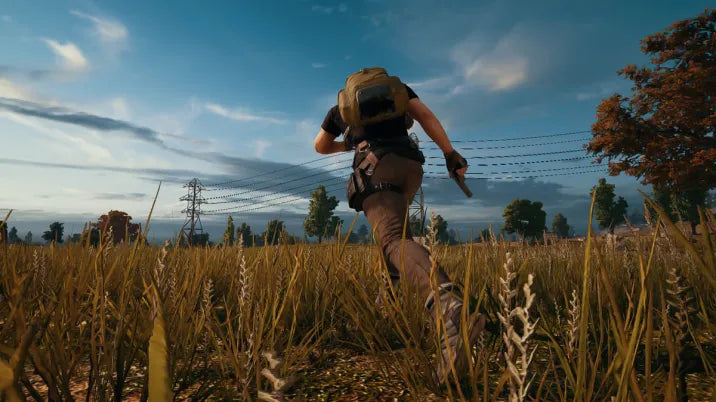 PlayerUnknown's Battlegrounds – PlayStation 4 (PS4)