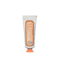 Marvis Ginger Mint Toothpaste - Unique Flavored Oral Care for Travelers, 0.85 fl oz