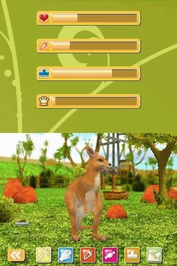 Paws & Claws: Pet Vet: Australian Adventures — Nintendo DS (DS)