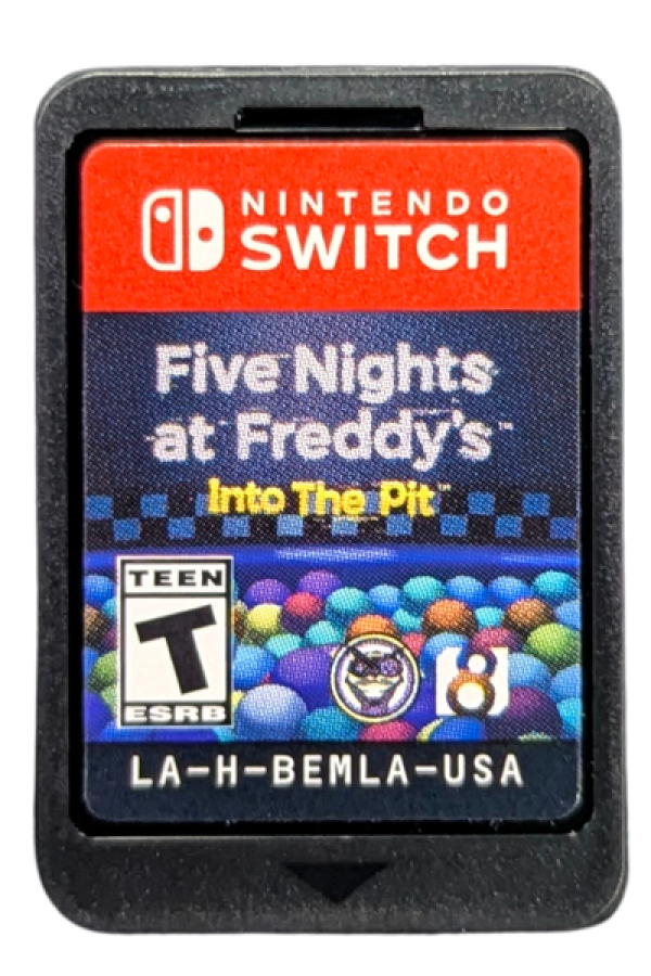 Five Nights At Freddy's: Into The Pit – Nintendo Switch (NS)