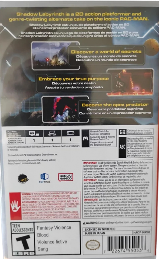 Shadow Labyrinth – Nintendo Switch (NS)