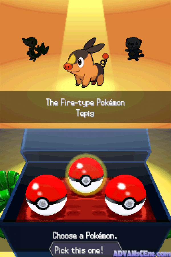 Pokemon: Black Version – Nintendo DS (DS)