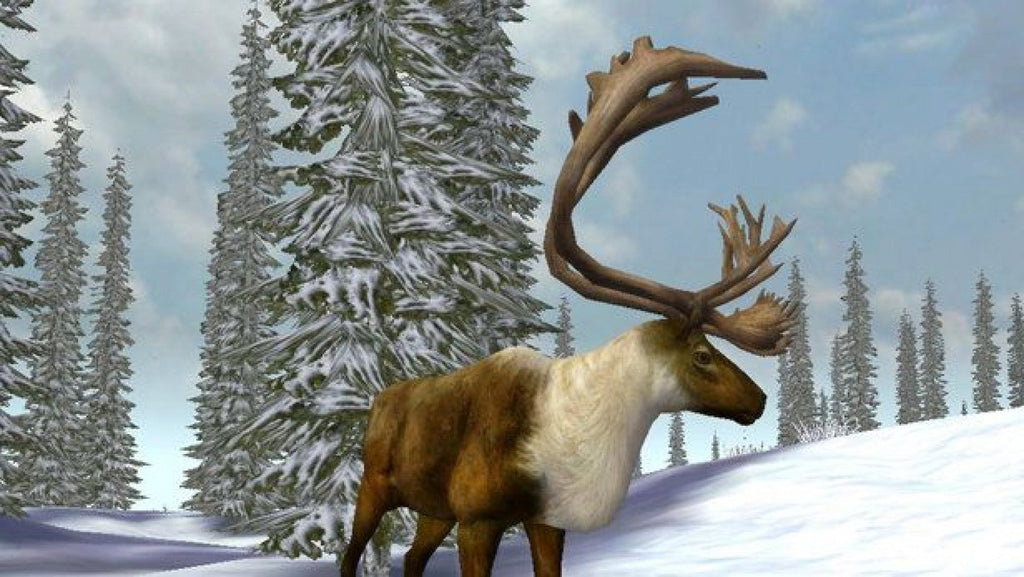 Cabela's Legendary Adventures – Nintendo Wii (Wii)