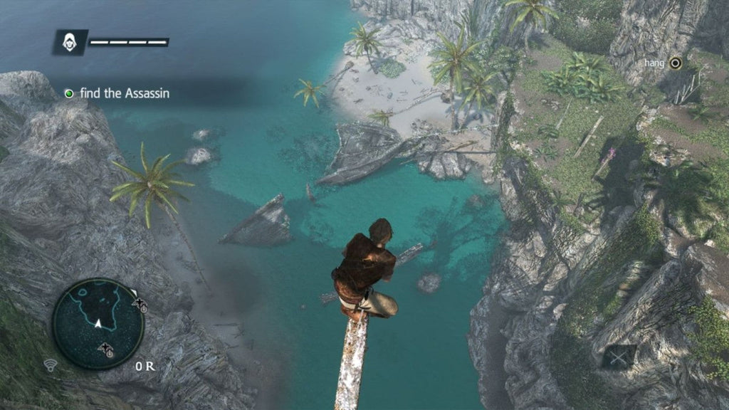 Assassin's Creed IV: Black Flag – PlayStation 4 (PS4)