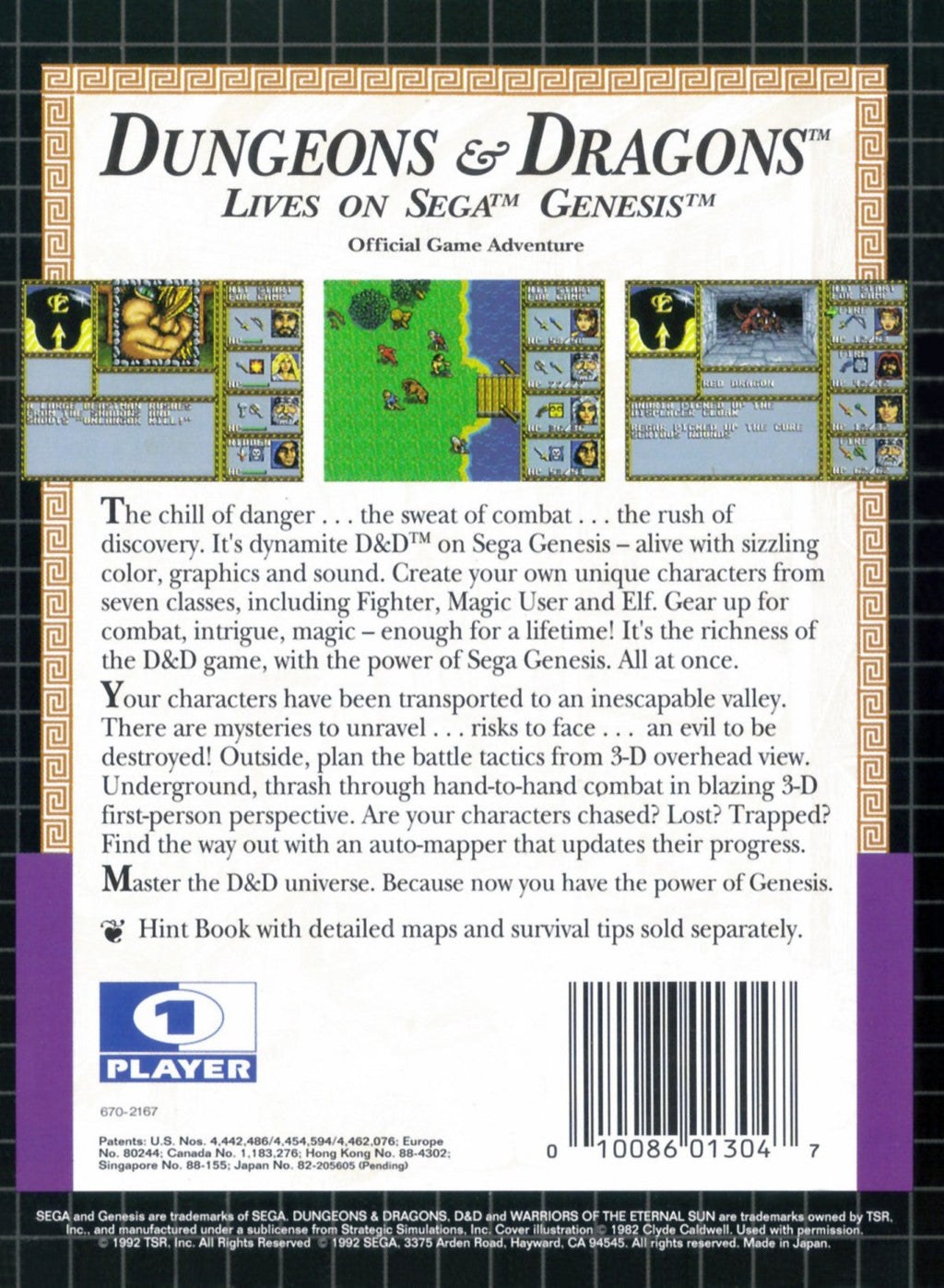 Dungeons & Dragons: Warriors of the Eternal Sun – Sega Genesis (GEN)