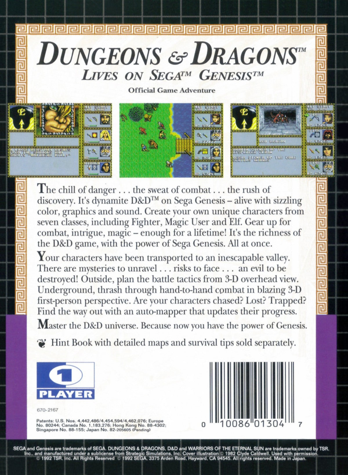 Dungeons & Dragons: Warriors of the Eternal Sun – Sega Genesis (GEN)
