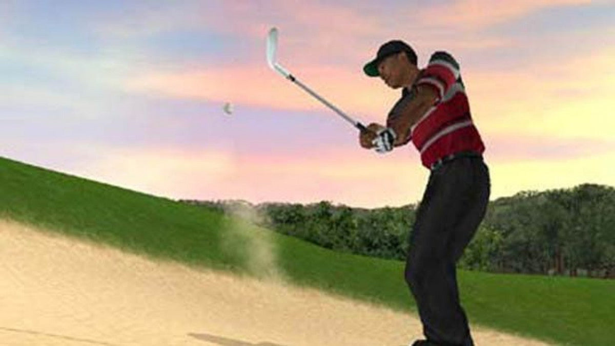 Tiger Woods PGA Tour 2004 – PlayStation 2 (PS2)