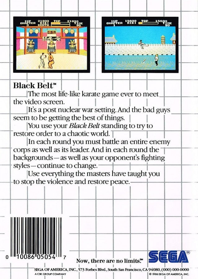 Black Belt – Sega Master System (SMS)