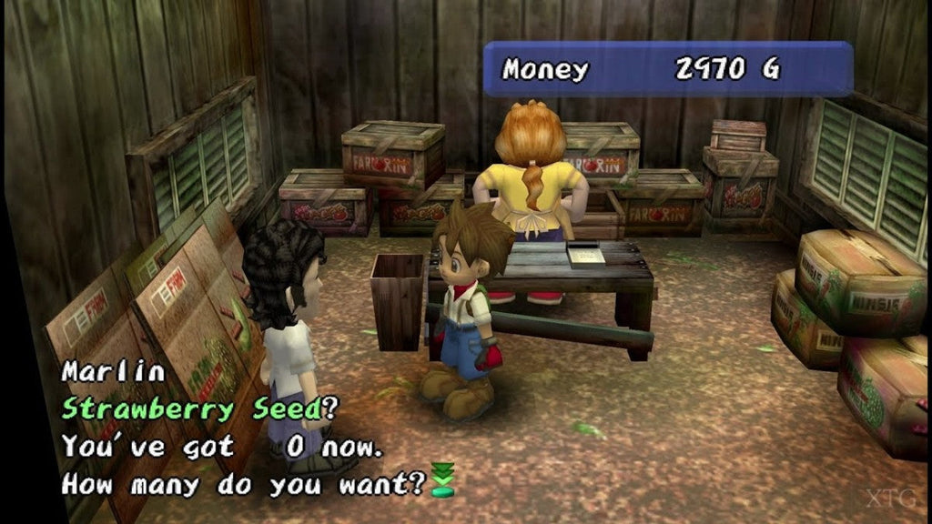 Harvest Moon: Another Wonderful Life – GameCube (GC)