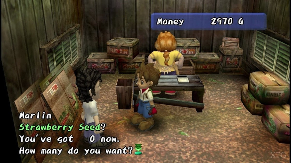 Harvest Moon: Another Wonderful Life – GameCube (GC)