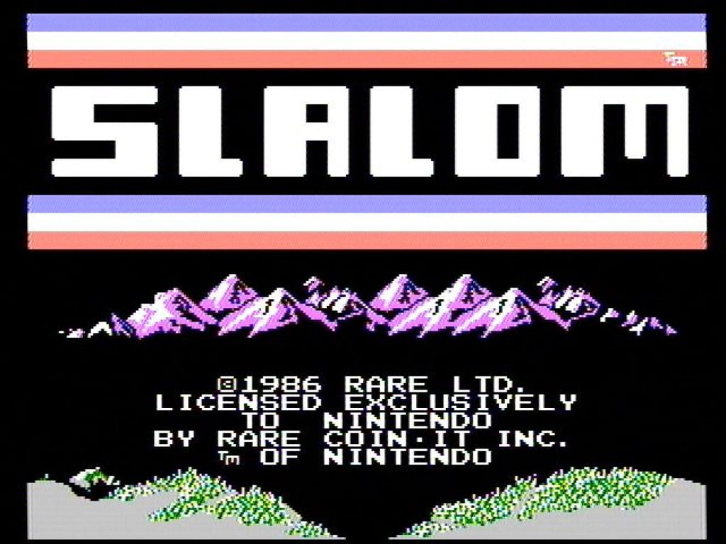 Slalom [5 Screw] – Nintendo Entertainment System (NES)