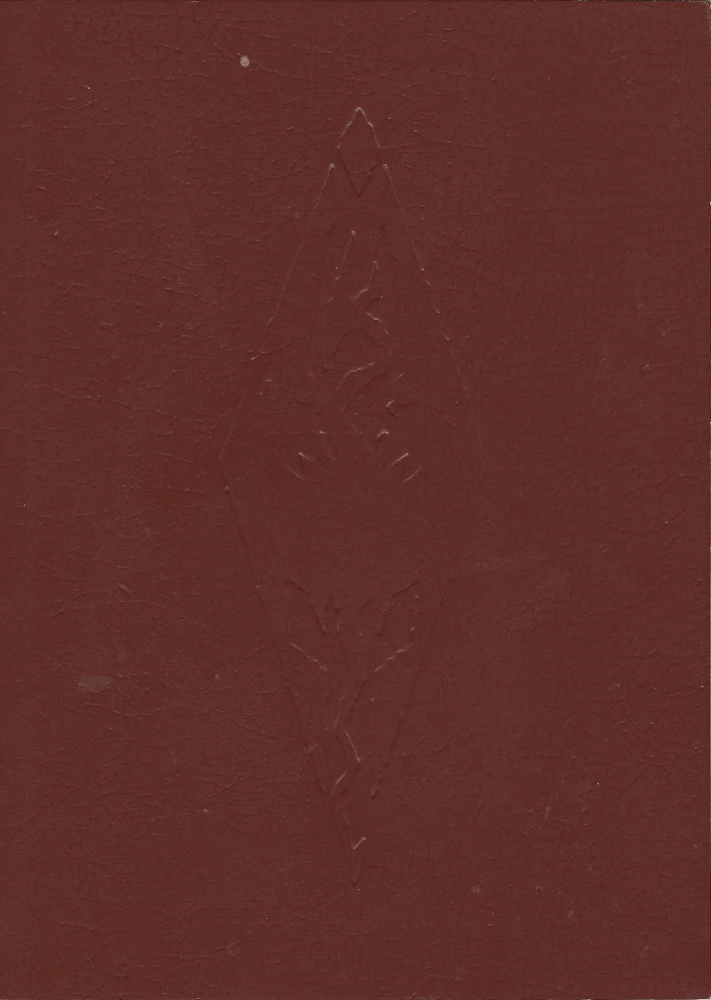 Elder Scrolls IV Oblivion [Collector's Edition] – Xbox 360 (X360)