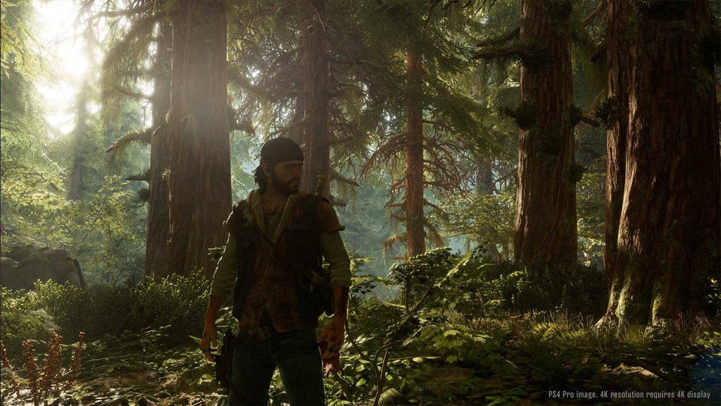 Days Gone – PlayStation 4 (PS4)
