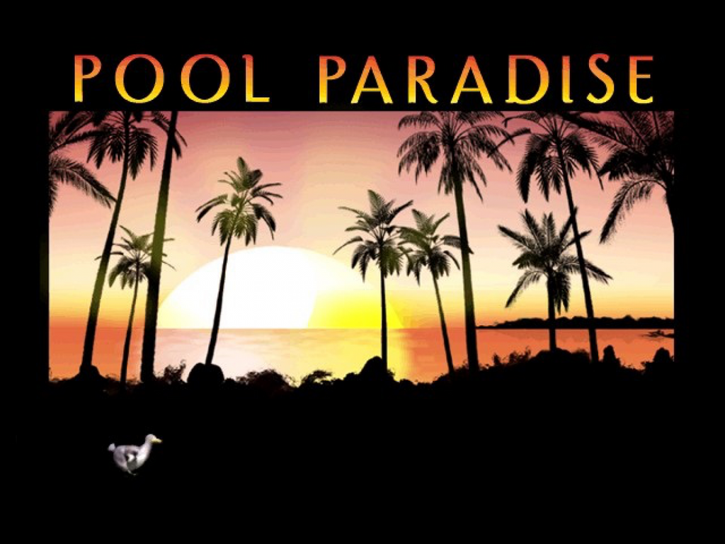 Pool Paradise – GameCube (GC)