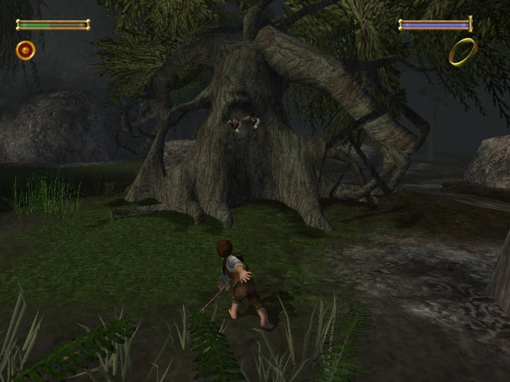 Lord of the Rings: Fellowship of the Ring – PlayStation 2 (PS2)