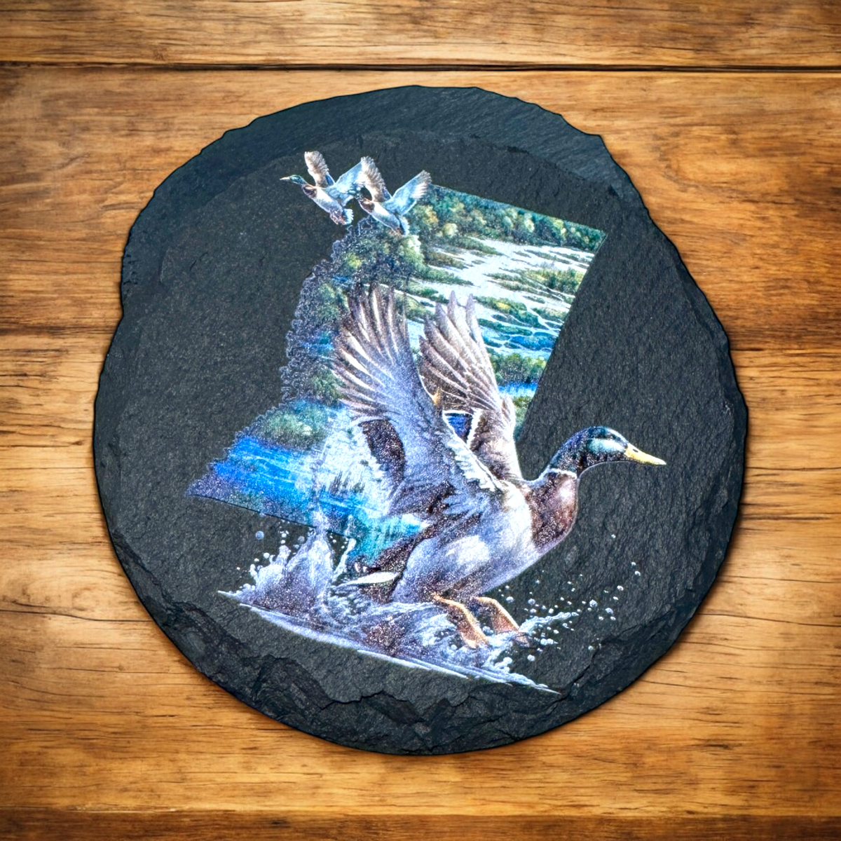 Mississippi Duck Coaster