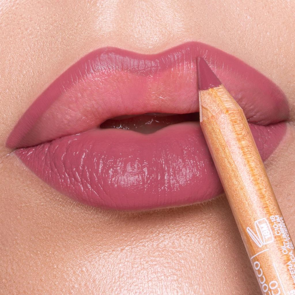 Astra Pure Beauty Lip Pencil 06 for Precise Definition