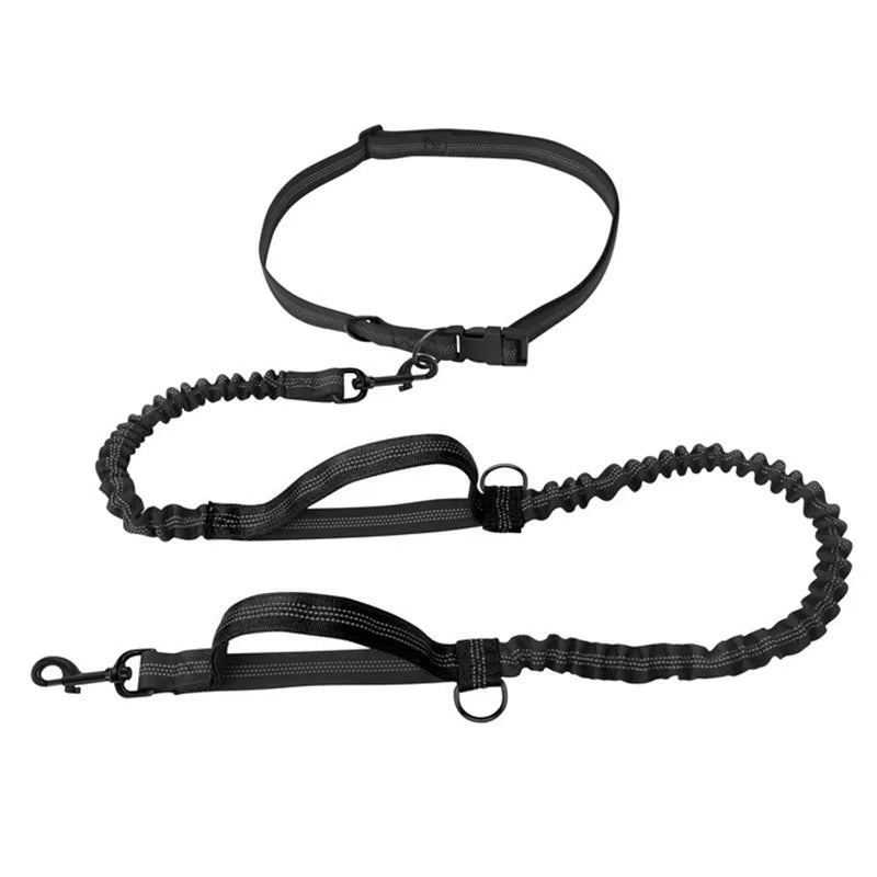 Double elastic reflective running leash portable retractable dog leash dog chain leash pet supplies wholesale