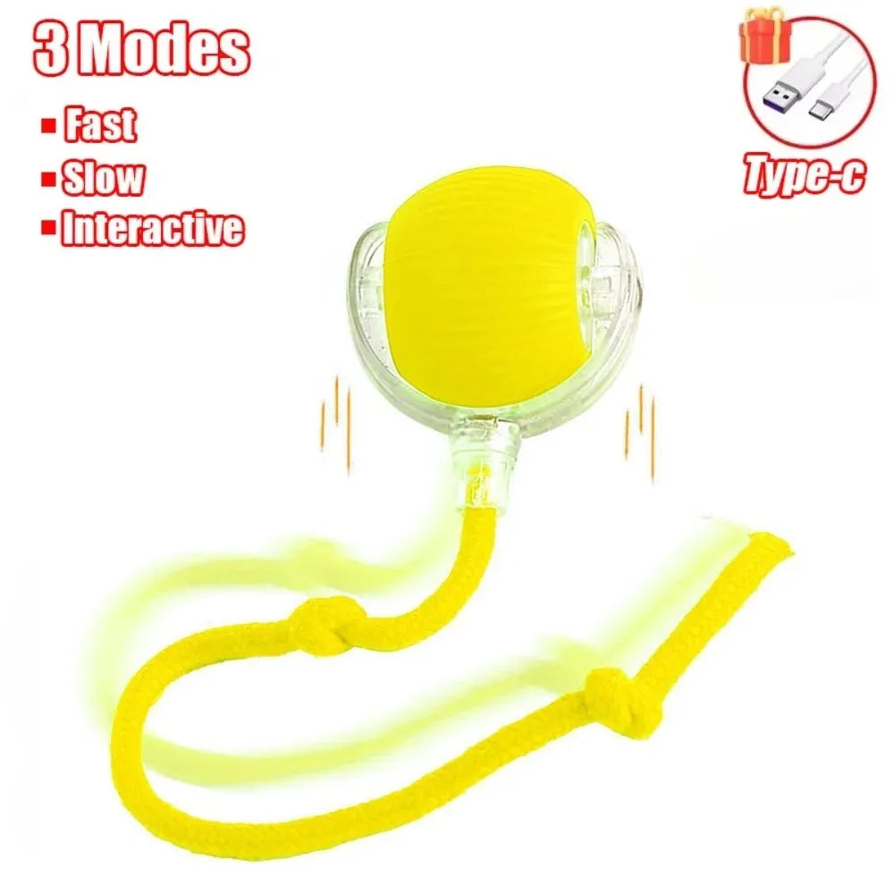 New Cat Interactive Ball Toy Automatic Rolling Ball Faux Tail Rechargeable Smart Pet Electric Toy Dog Cat Training Imitate Mouse