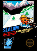 Slalom [5 Screw] – Nintendo Entertainment System (NES)