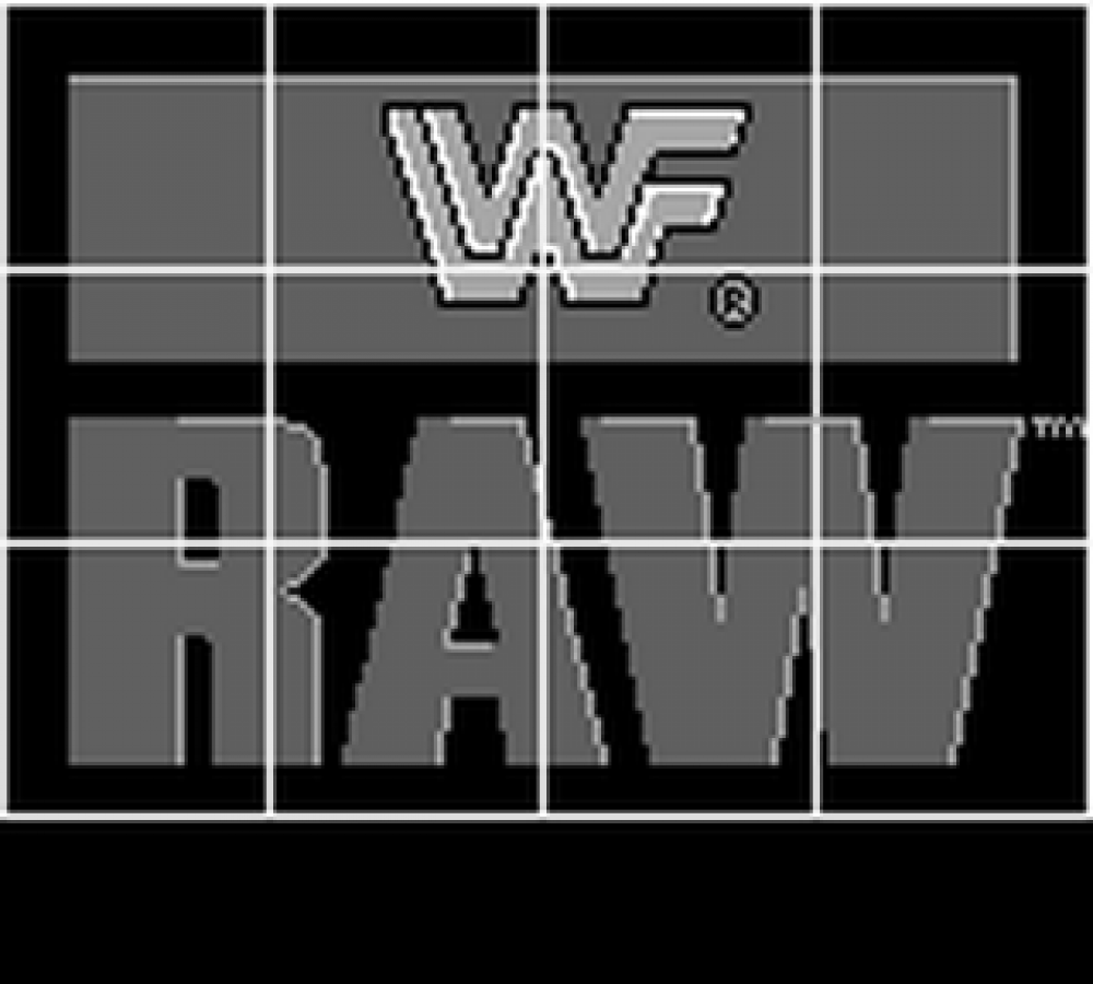 WWF Raw  – Game Boy (GB)