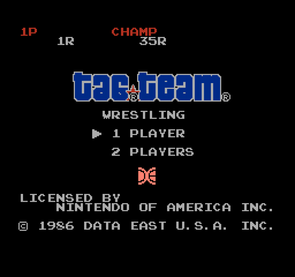 Tag Team Wrestling – Nintendo Entertainment System (NES)