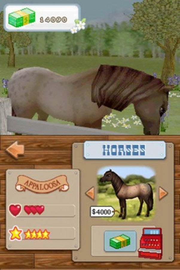 Championship Pony – Nintendo DS (DS)