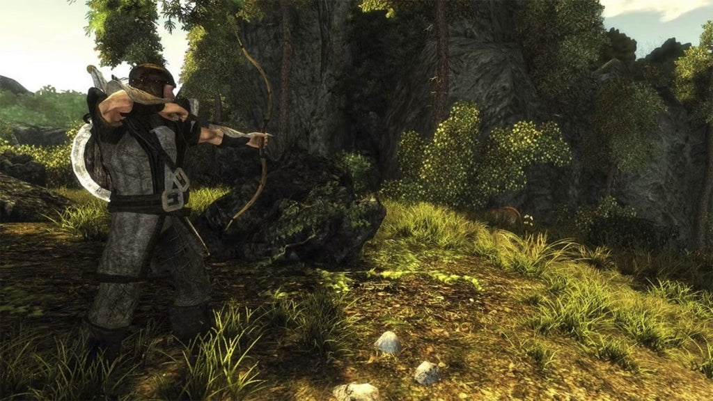 Risen – Nintendo Switch (NS)