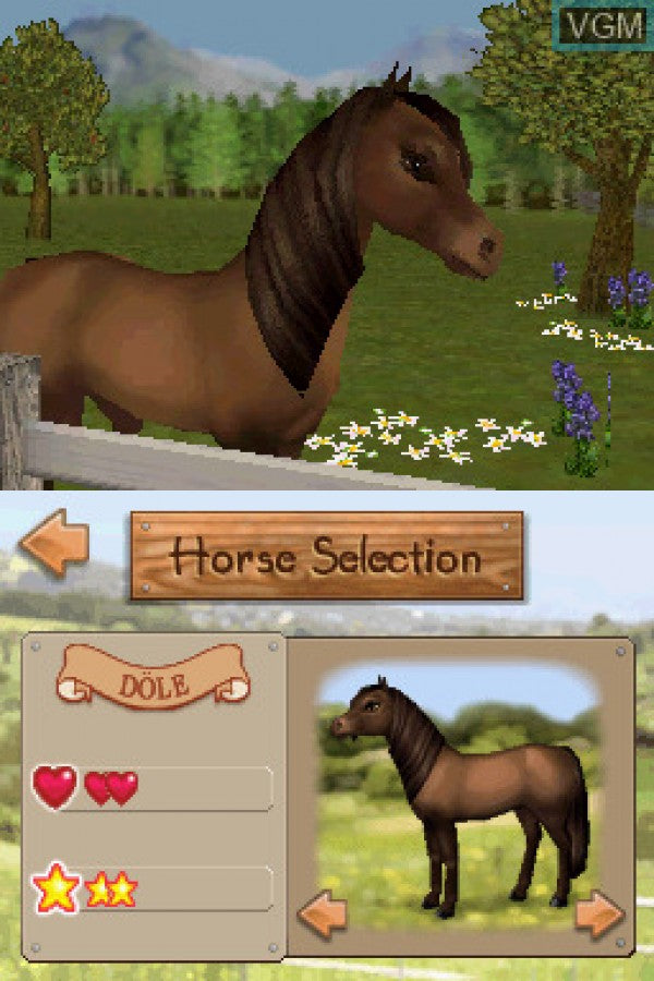 Championship Pony – Nintendo DS (DS)