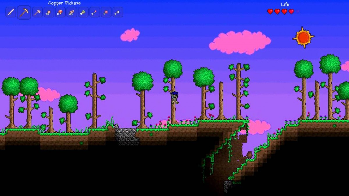 Terraria – PlayStation 3 (PS3)