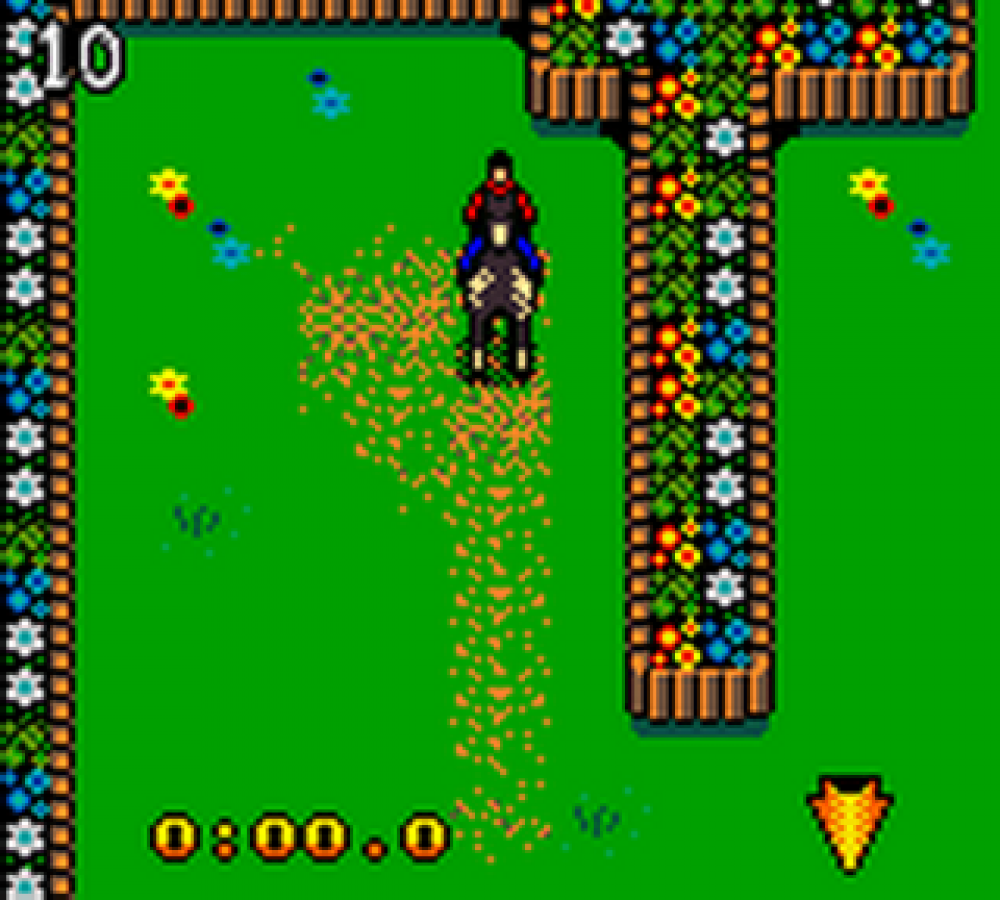 Mary-Kate and Ashley: Winner's Circle – Game Boy Color (GBC)