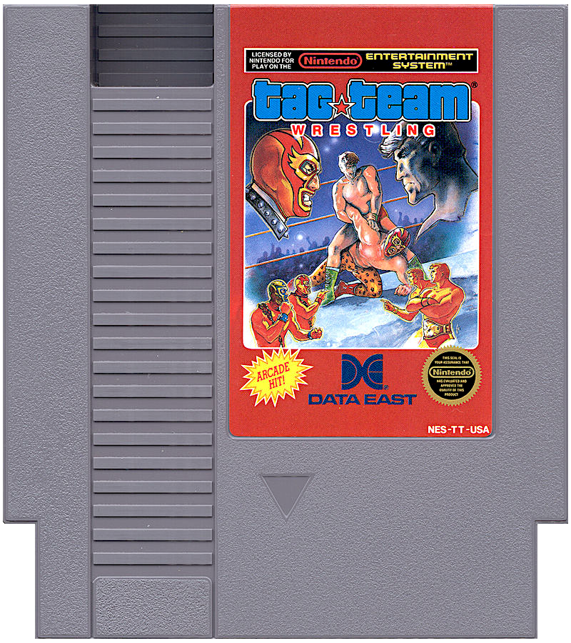 Tag Team Wrestling – Nintendo Entertainment System (NES)