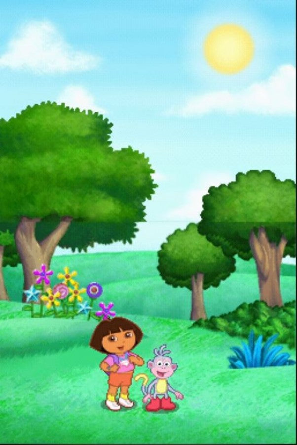 Dora's Big Birthday Adventure — Nintendo DS (DS)