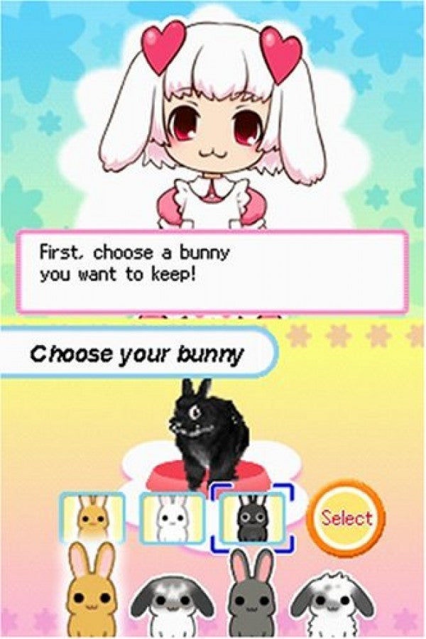 Petz: Bunnyz – Nintendo DS (DS)