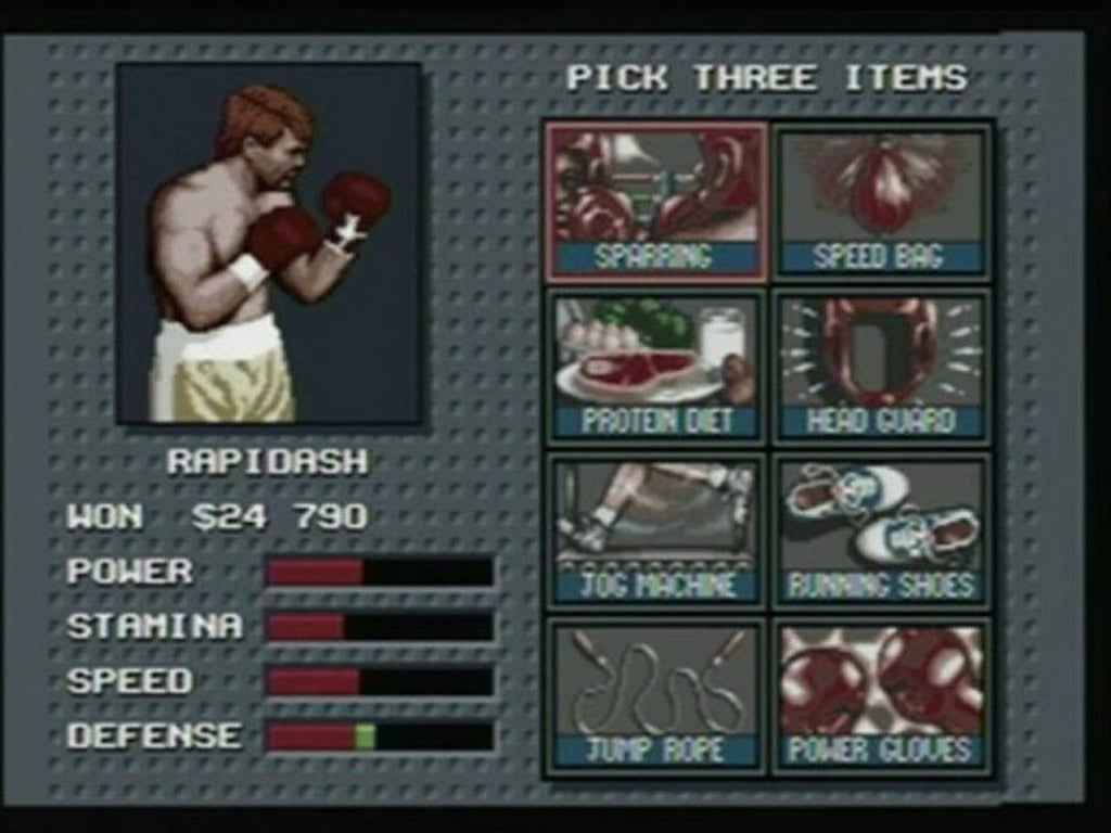 Evander Holyfield's Real Deal Boxing – Sega Genesis (GEN)