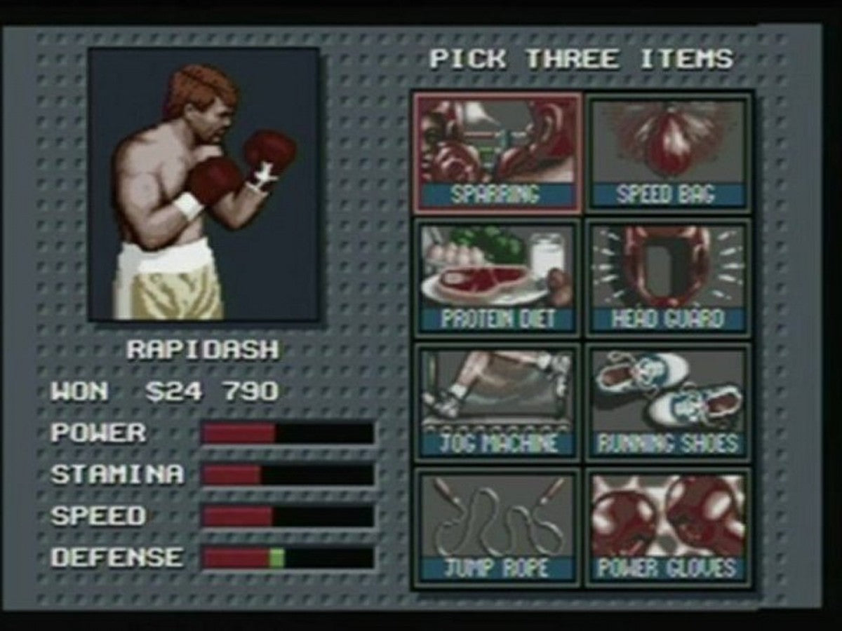 Evander Holyfield's Real Deal Boxing – Sega Genesis (GEN)