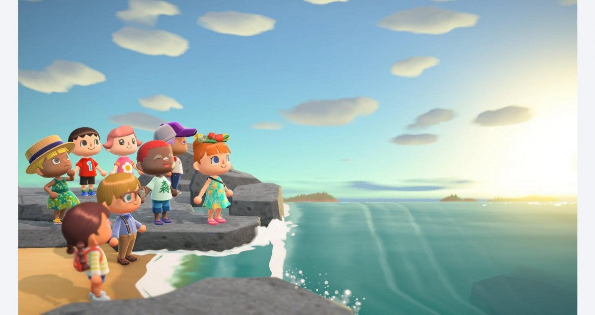Animal Crossing: New Horizons – Nintendo Switch (NS)
