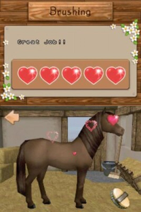 Championship Pony – Nintendo DS (DS)