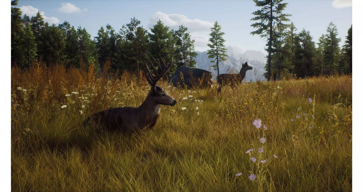 Way of The Hunter – PlayStation 5 (PS5)