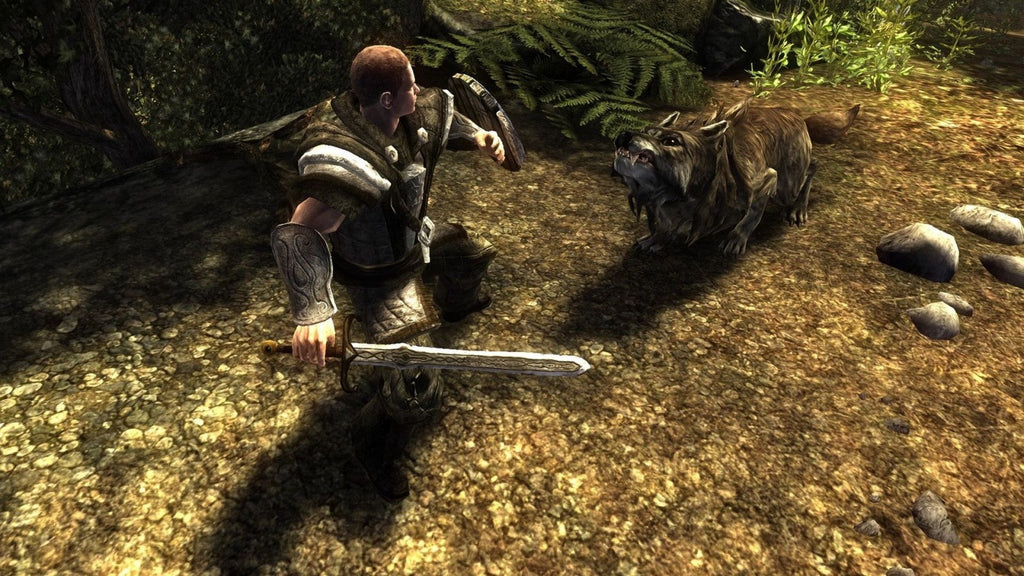 Risen – Nintendo Switch (NS)