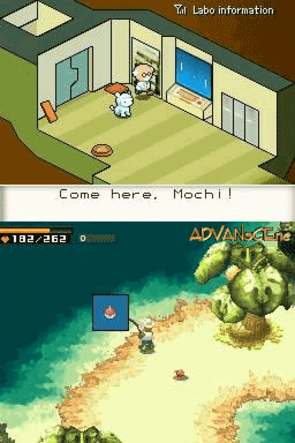 Contact – Nintendo DS (DS)
