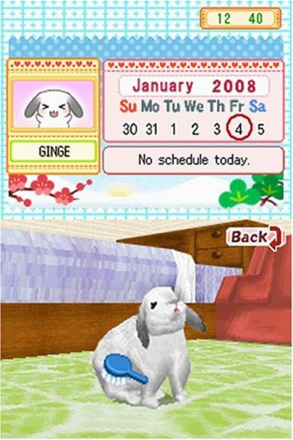 Petz: Bunnyz – Nintendo DS (DS)